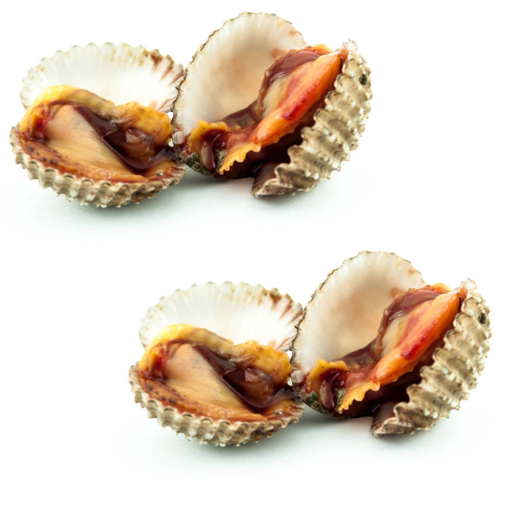 FZ Isi Kerang 500-Up (BLK)