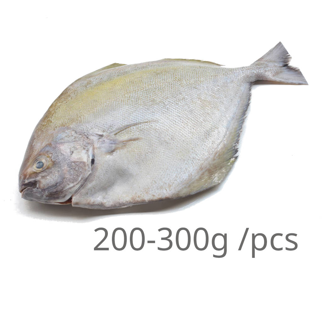 FZ Bawal Hitam 200-300 (PKT)